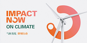 IMPACT NOW on climate