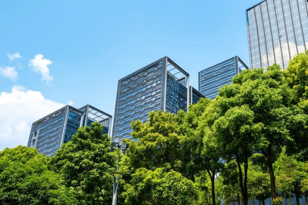 可持续披露准则四大要点解析
