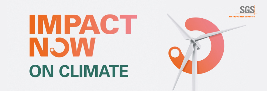 IMPACT NOW