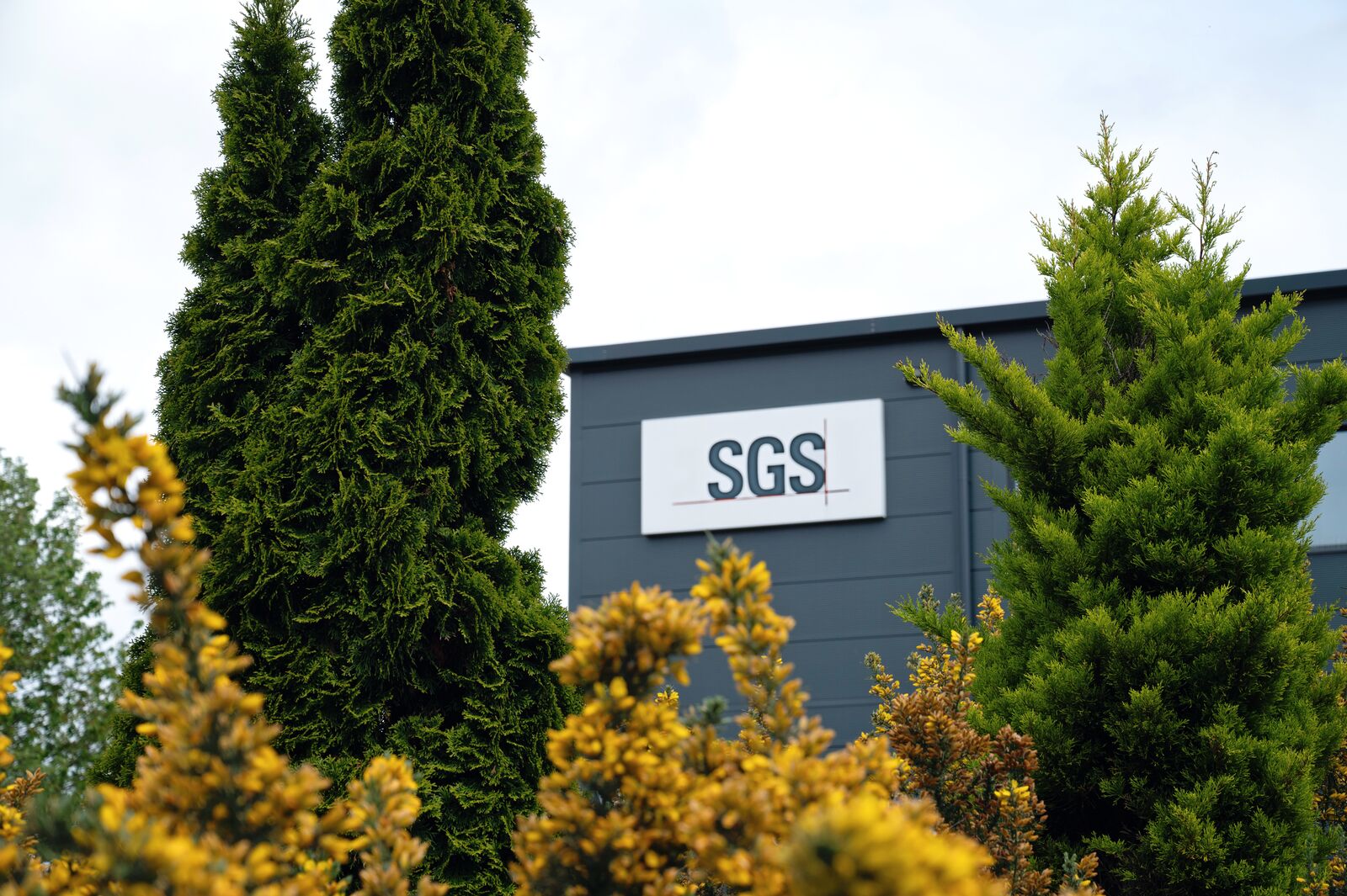 SGS