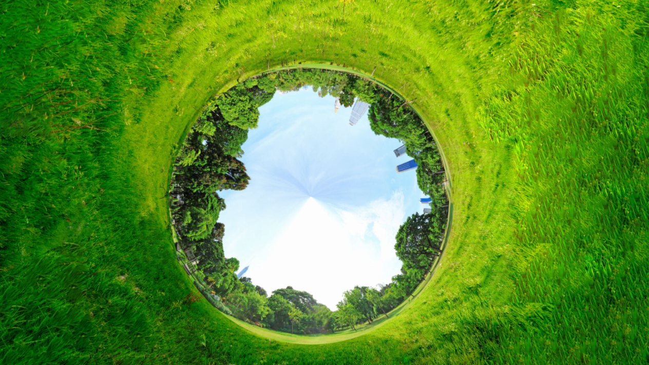 SGS受邀参加全国产业计量与能碳评估专家委员会2024年度会议