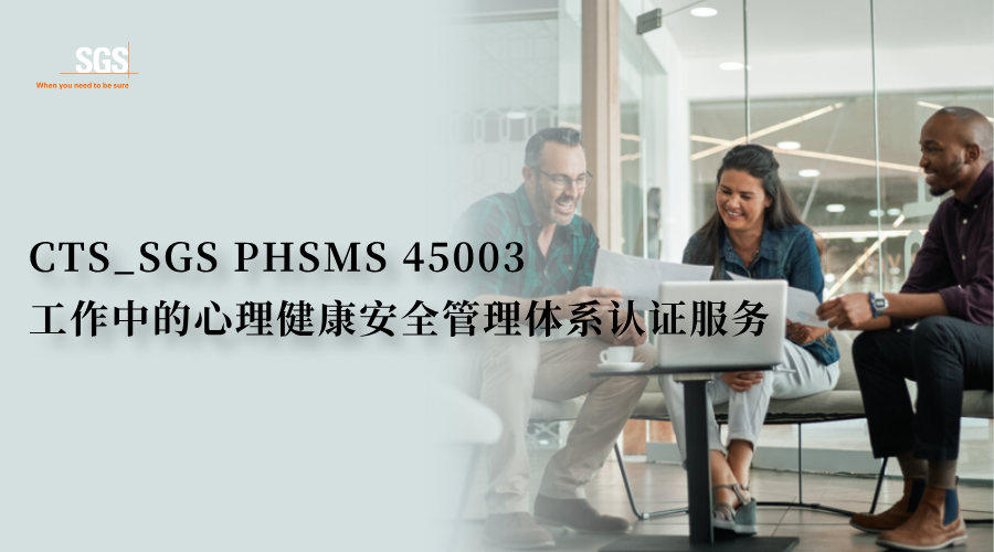 PHSMS 45003工作中的心理健康安全管理体系认证服务