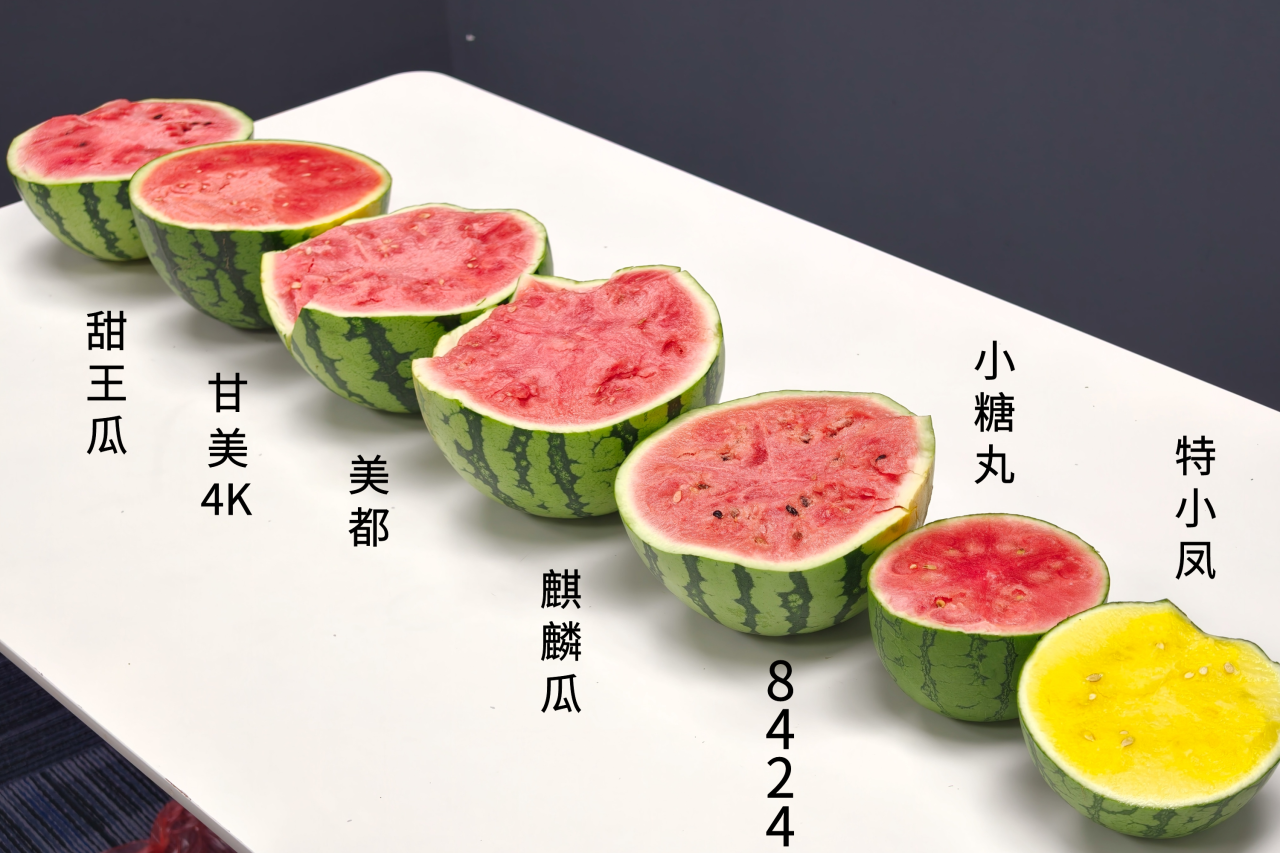 7种西瓜测评 | 哪种又脆又甜又好吃?附西瓜挑选和存放指南