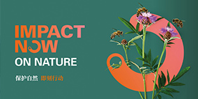 IMPACT NOW on nature