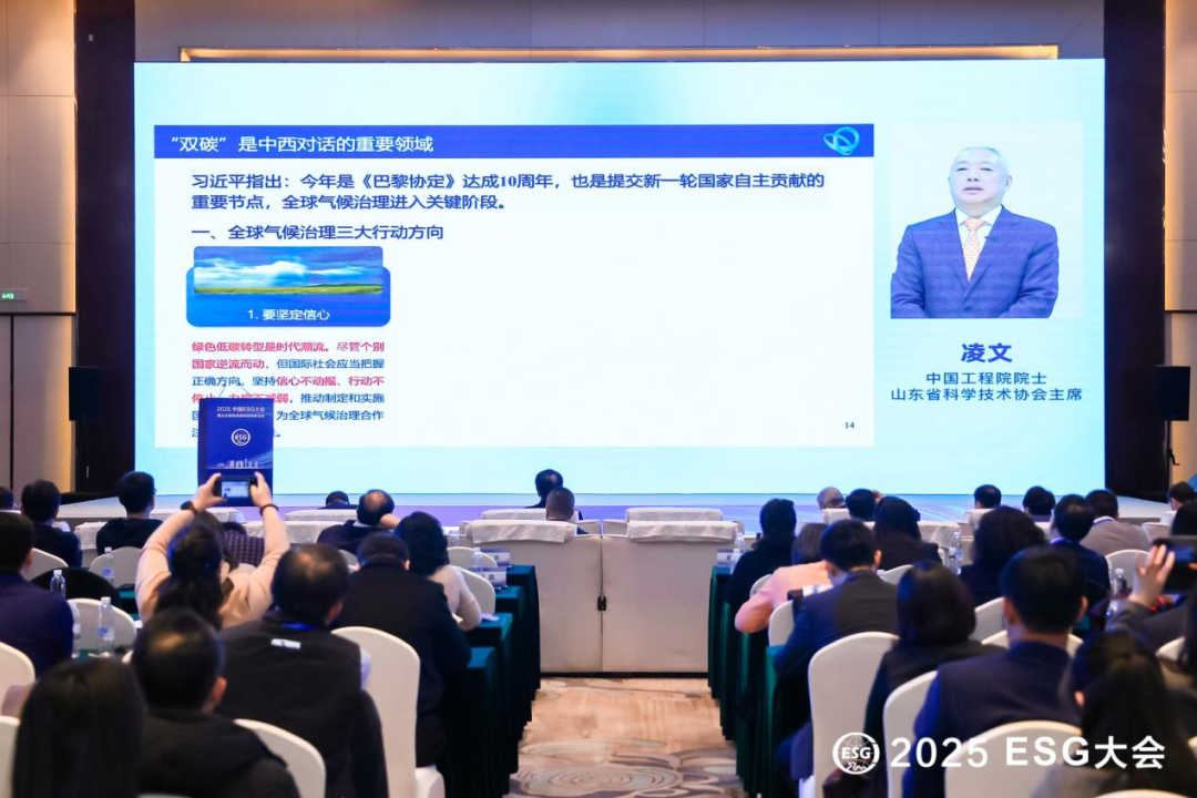 中国工程院院士 凌文