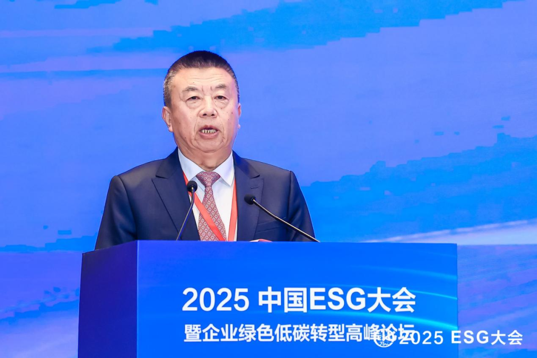 中国产业海外发展协会会长 和振伟