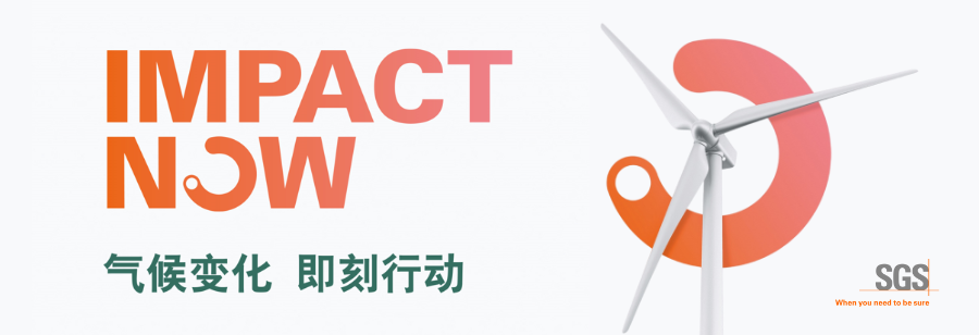 IMPACT NOW